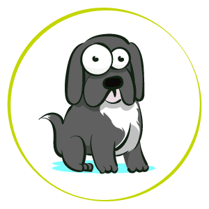 dog daycare salary