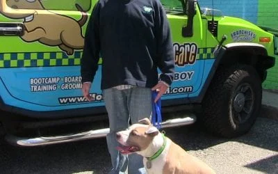 Man with a tan and white dog on a leash