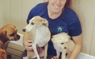 Smiling Hounds Town employee holding two