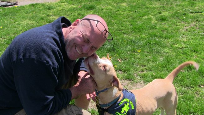 michael gould hounds town usa pet care franchise