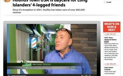 Michael Gould, Hounds Town Founder,