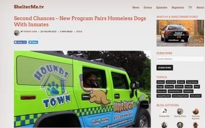 Bright green Hounds Town dog daycare