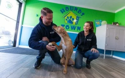 Hounds Town staff happily interact with a dog,