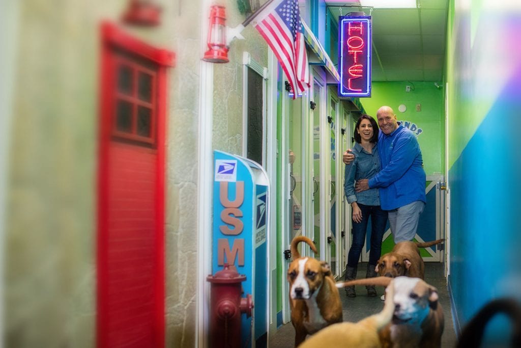 Doggie Daycare Franchise Developer Buys 3 Denver Locations!