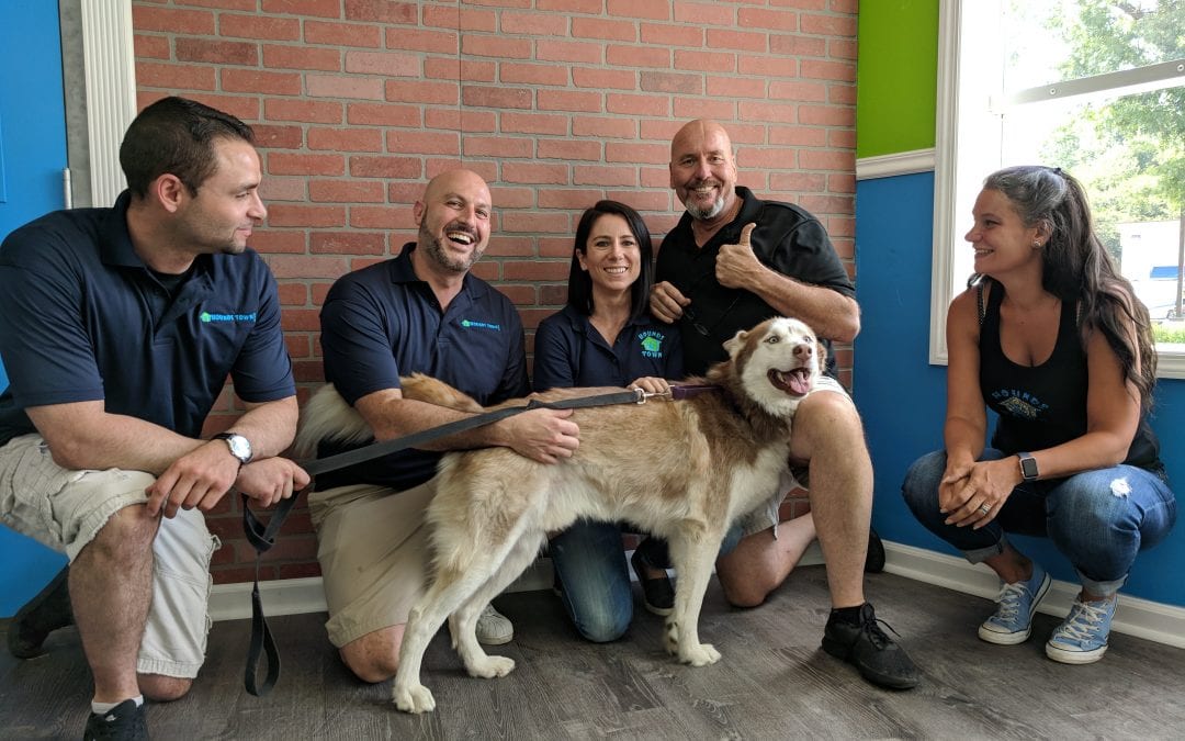 Booming Pet Care Franchise Doubles System Size in 2018