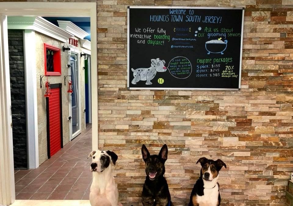 South Jersey Dog Daycare Franchise Opens First NJ Location