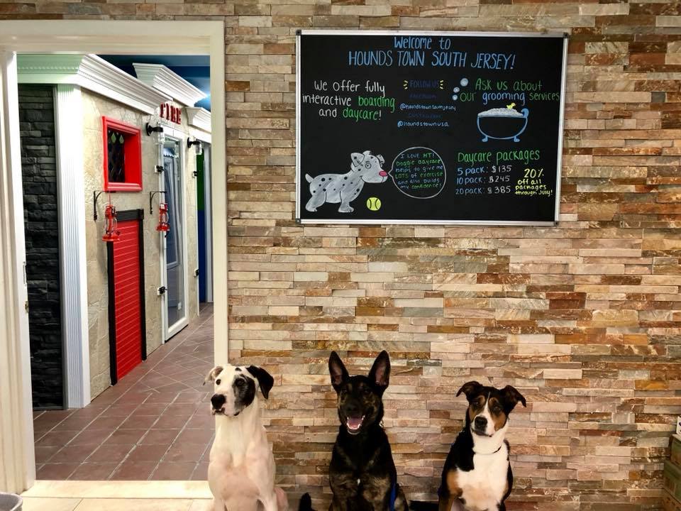 South Jersey Dog Daycare Franchise Opens First NJ Location