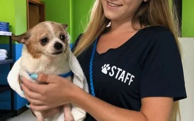 Staff member in a "STAFF" shirt holds