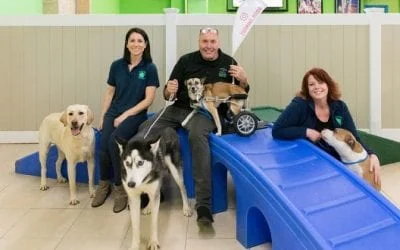 Hounds Town staff smiling with five