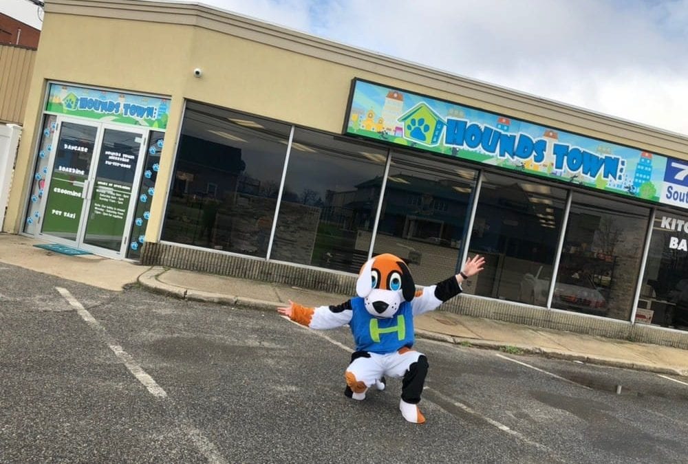 Hicksville, NY Opens its First Hounds Town USA Pet Care Franchise
