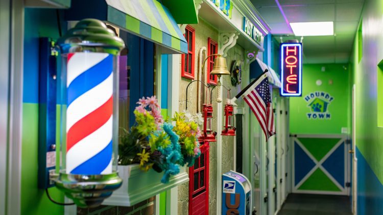 hounds town interior dog daycare franchise