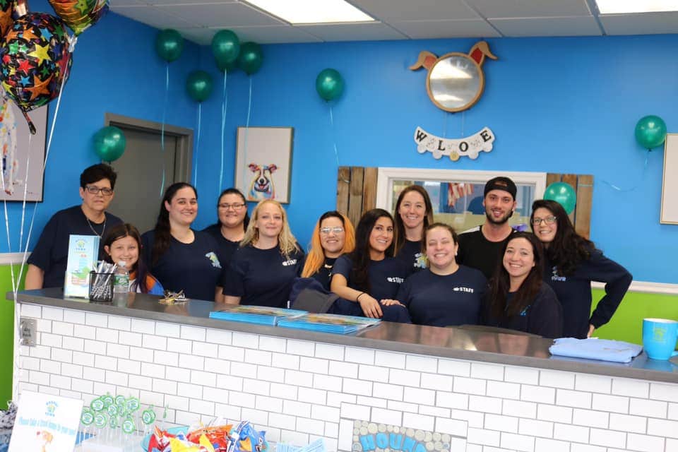 Popular Dog Day Care Franchise Profiled in Hicksville News