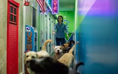 Happy dogs running down a themed Hounds Town USA
