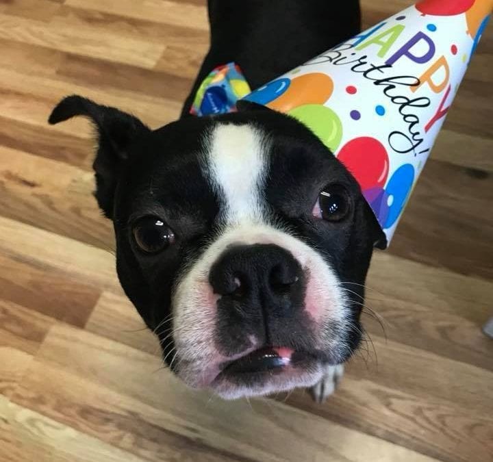 South Jersey Pet Care Franchise Celebrates Anniversary!