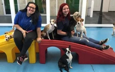 Happy Hounds Town pet care franchise owners smiling with
