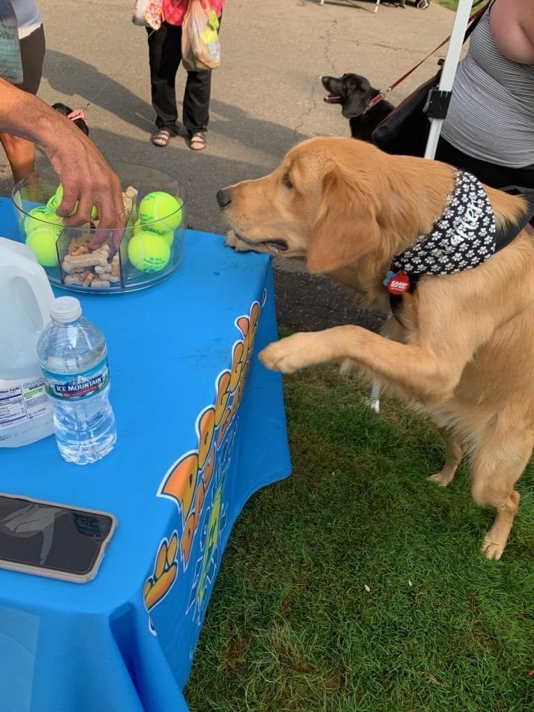 Mutt March 2019 Hounds Town - Detroit