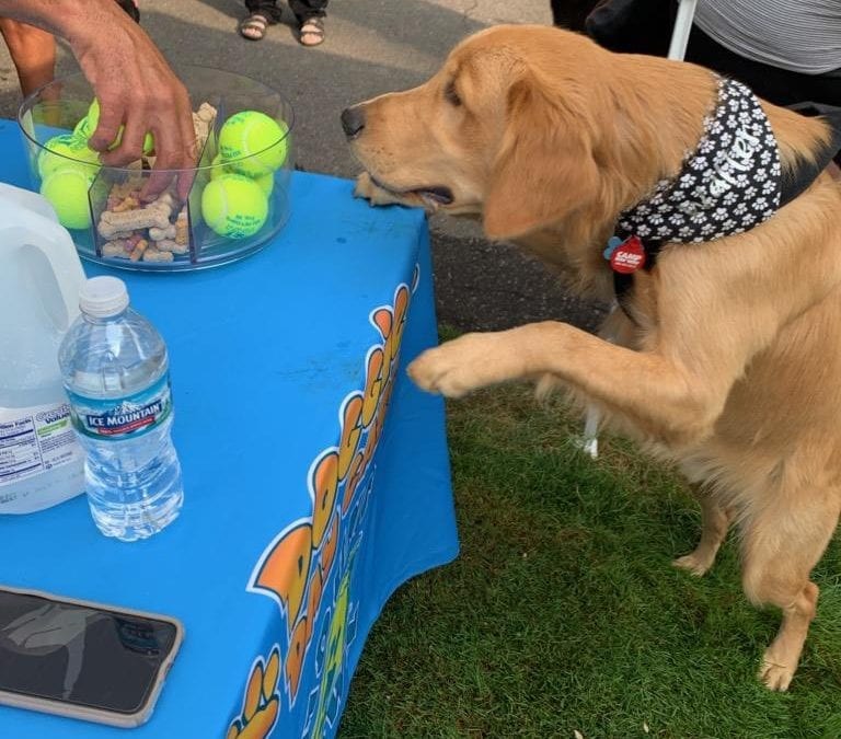 Hounds Town Dog Day Care Joins Michigan’s Mutt March