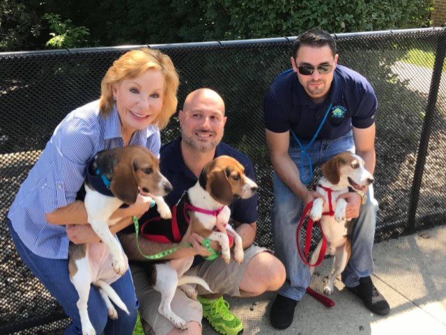 Hounds Town - Bergen - Shelter Dogs - Bergen County Animal Shelter