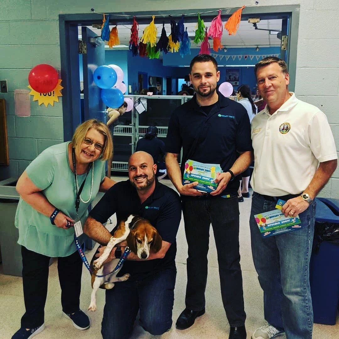 Dog daycare - Bergen - Hounds Town USA 