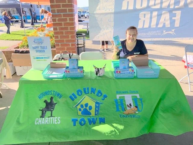 dog daycare franchise - hounds town usa - garden city - north shore animal league