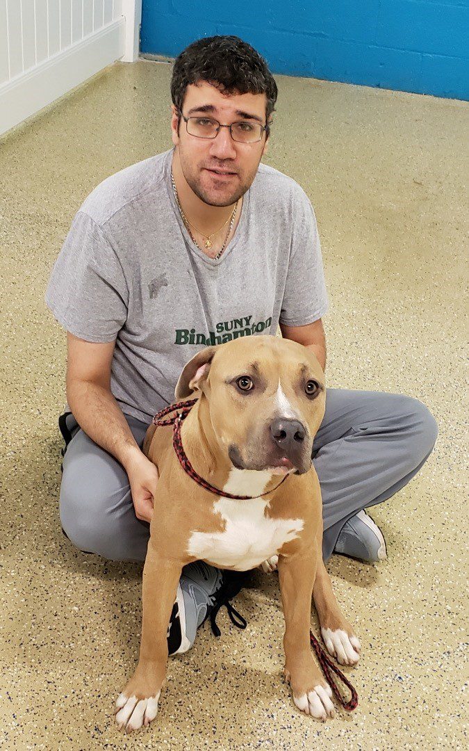rescue dog - foster - dog day care - garden city