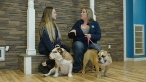 doggie daycare franchise