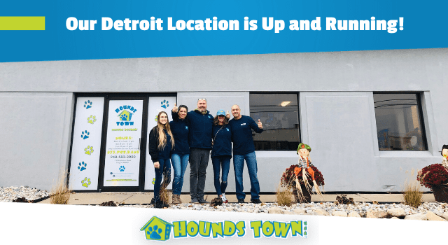 Hounds Town Detroit Dog Kennel Franchise Opens