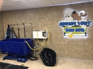 dog franchise