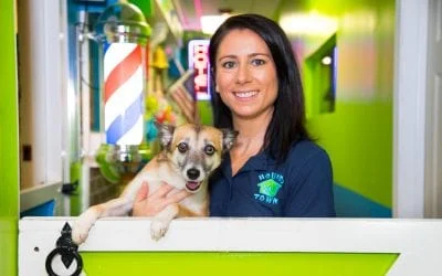 Smiling Hounds Town employee holding a happy dog
