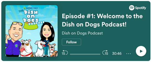 franchise business opportunities podcast