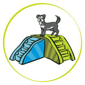 Pet industry growth