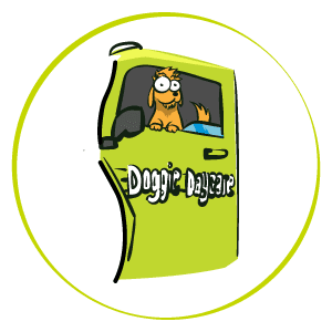 how to open a doggie daycare
