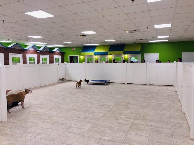 Sanford Pet Franchise