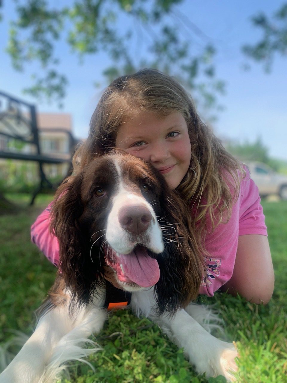 dog daycare franchise
