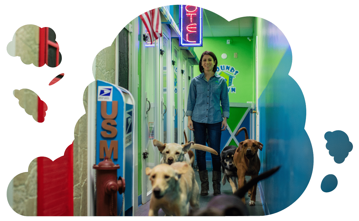 houndstown-usa-doggy-daycare-franchise-owner