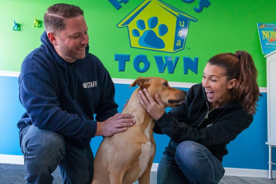 doggie daycare franchise Hounds Town