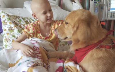 How Our Dog Daycare Franchise Helped Make a Girl’s Wish Come True