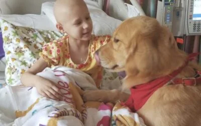 Young cancer patient in hospital bed petting