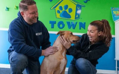 Hounds Town staff happily petting a brown dog at