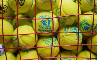 Pile of yellow tennis balls, some branded with