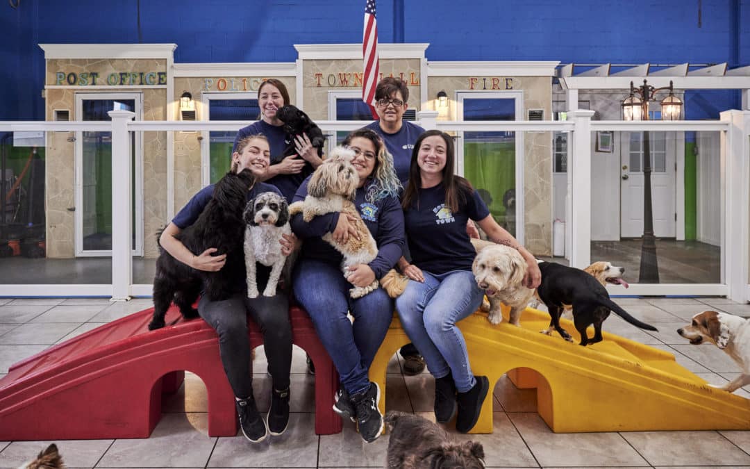 Demand for Pet Hotels is Growing – and Hounds Town USA Franchise Owners are Reaping the Rewards!