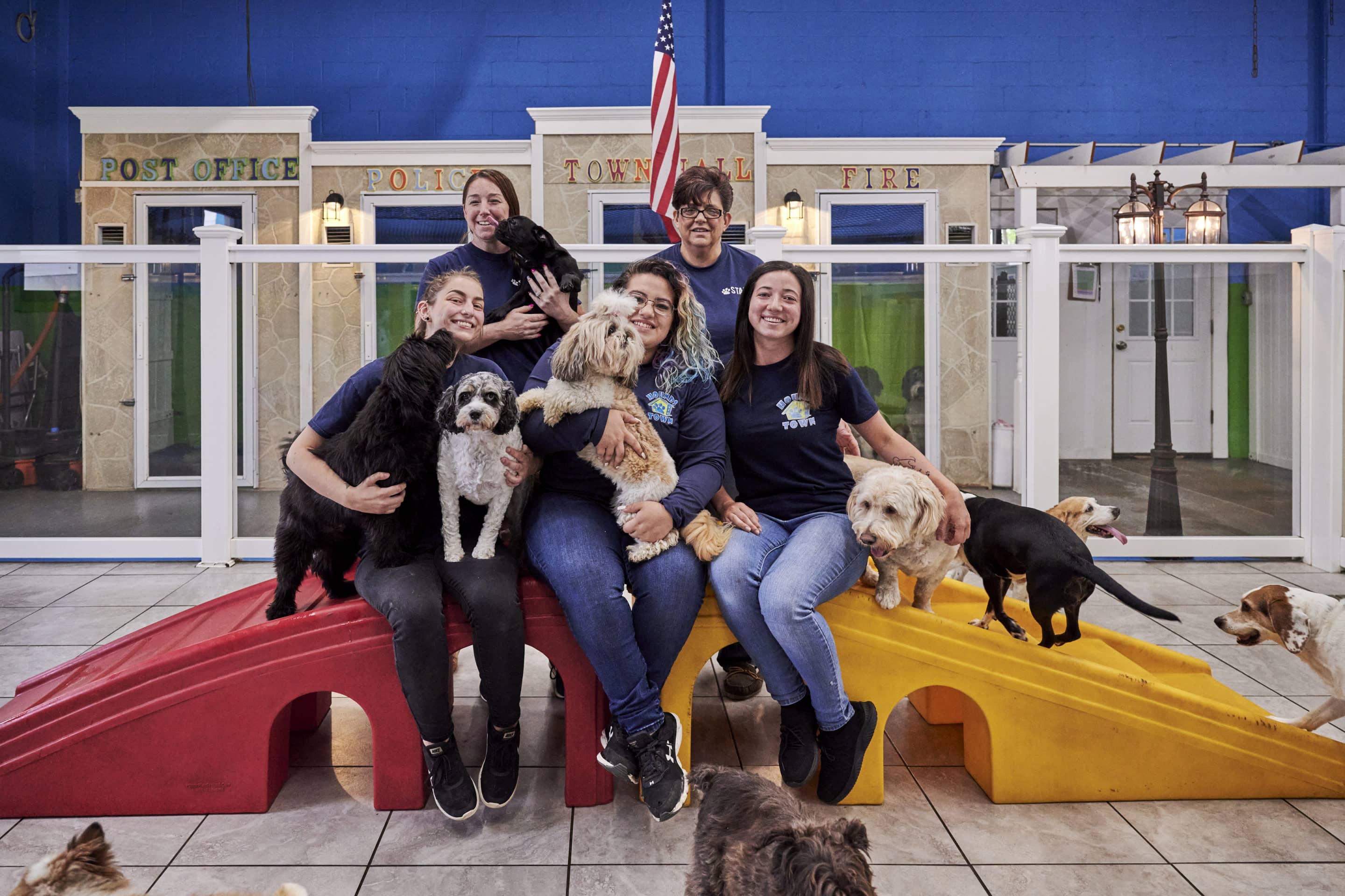 Dog franchise in Wilmington, NC