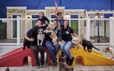 Smiling Hounds Town staff with happy dogs on colorful