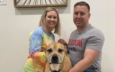 Smiling couple and their brown dog,