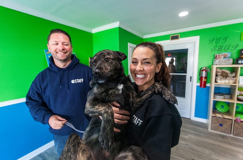 Hounds Town Dog Daycare Is Becoming An Essential Business for Pet Owners