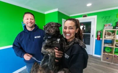 Smiling Hounds Town staff holding a brindle dog