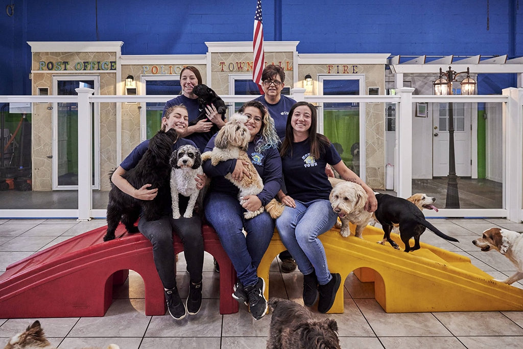 Dog Daycare Franchise - Hounds Town USA - 1