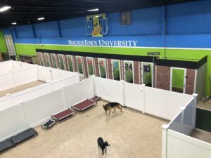 Copy-of-IMG_4329-scaled-1 Hounds Town USA Franchise Gallery - 6