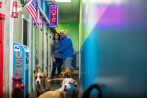 H-TownHR-3780-3 Hounds Town USA Franchise Gallery - 18