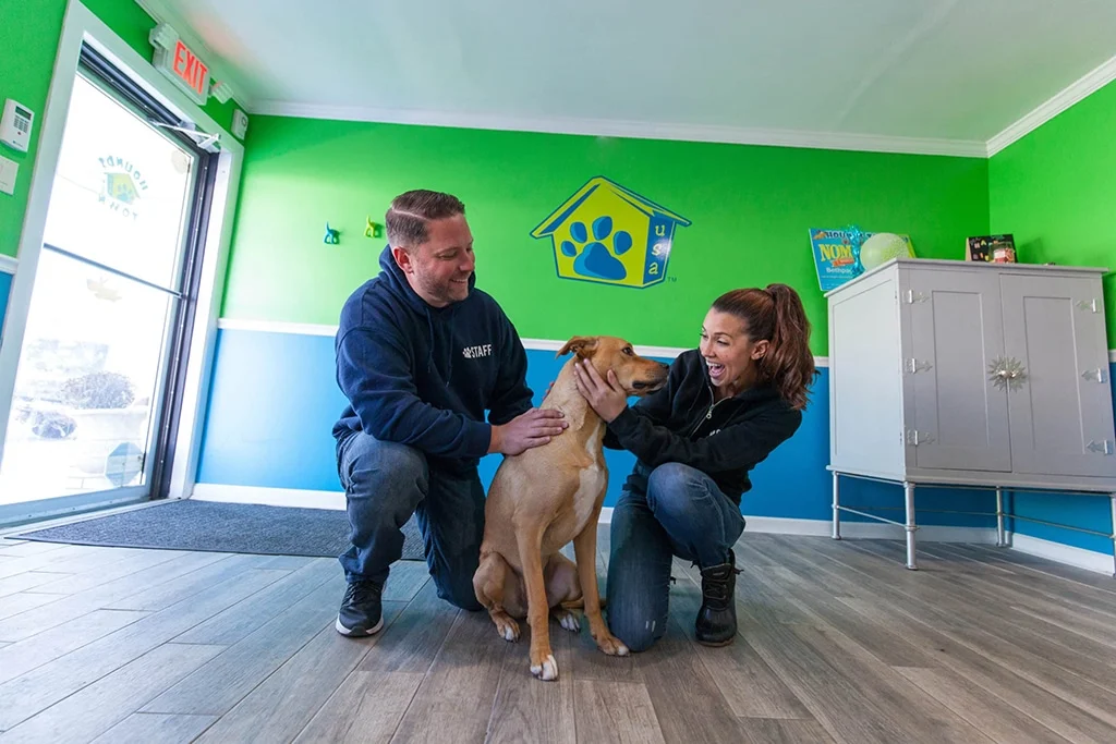 Affordable Dog Daycare Franchise - Hounds Town USA - 4